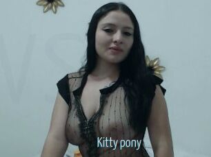 Kitty_pony