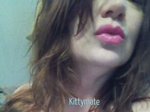 Kittymate