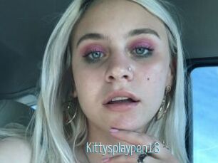 Kittysplaypen18