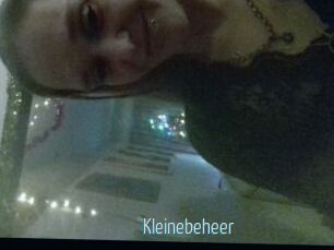 Kleinebeheer