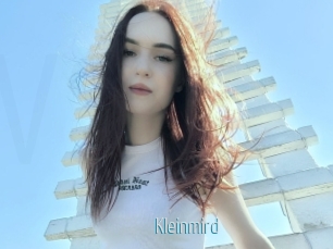 Kleinmird