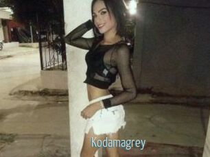 Kodamagrey