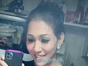 Kulkoginikutifi