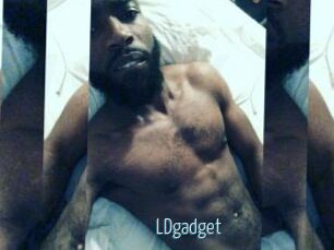 LDgadget