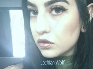 Lachlan_Wolf