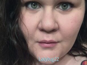 Ladybug22