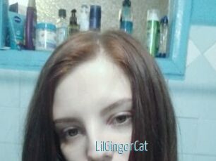 LilGingerCat