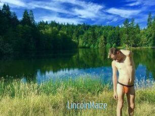 Lincoln_Maize
