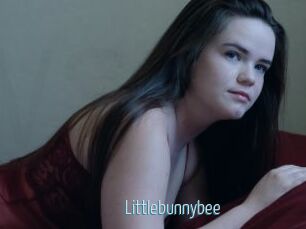 Littlebunnybee