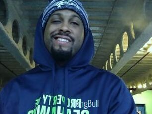 LongBull