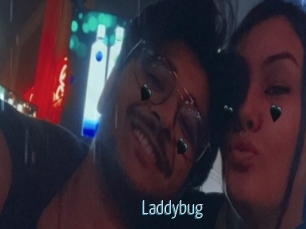 Laddybug