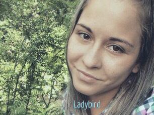 Ladybird
