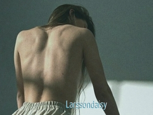 Larssondaisy