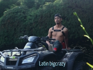 Latin_bigcrazy