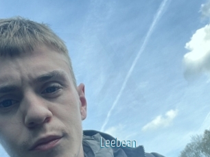 leebean Video Sexe