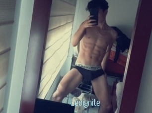Leoignite