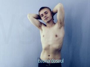 Leonardosoul