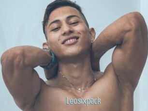 Leosixpack