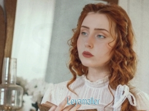 Leyamaller