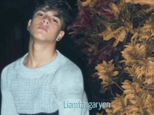 Liamtargaryen