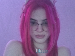 Lillipupp