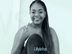 Lillylotus
