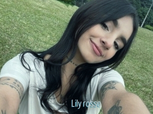 Lily_rosse
