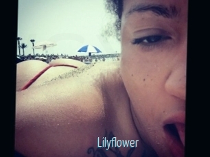 Lilyflower