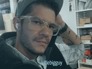 Litlebigguy