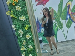 Litross
