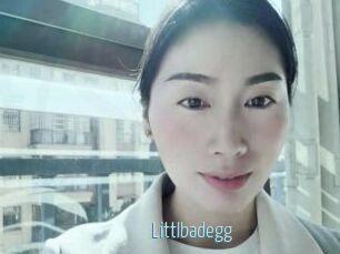 Littlbadegg