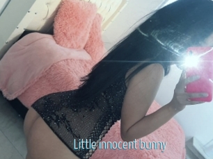 Little_innocent_bunny