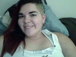 LittleL2Bbig