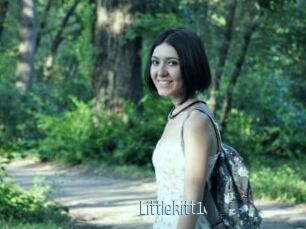Littlekitt1