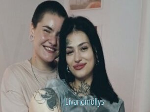 Livandmollys
