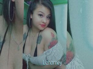 Lizhorney