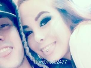 Lovebirds02477