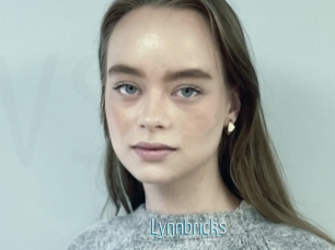 Lynnbricks