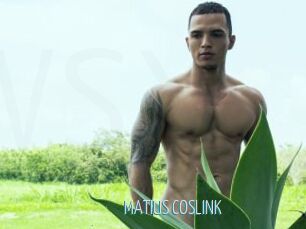 MATIUS_COSLINK