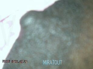 MIRATOUT