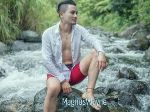 MagnusWayne
