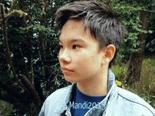 Mandi2013