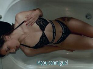 Mapu_sanmiguel