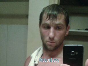 Mason_Levy