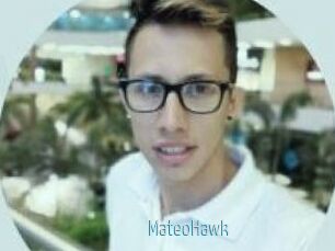 MateoHawk