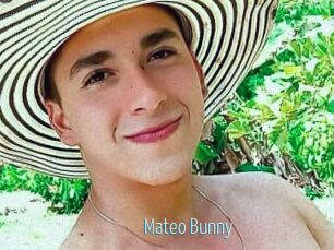 Mateo_Bunny