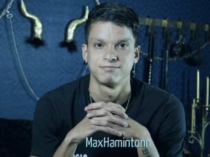 MaxHamintonn