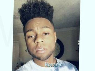MeesLife
