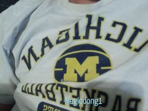 Meglodong1
