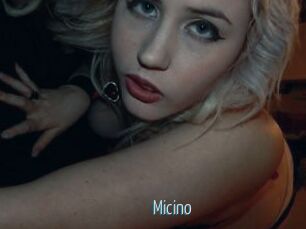 Micino